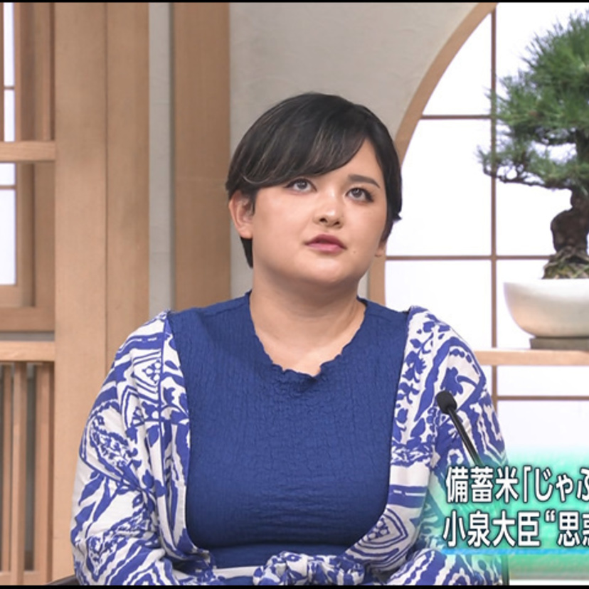 【今週のサンモニ】意味不明コメント連発のみたらし加奈氏｜藤原かずえ