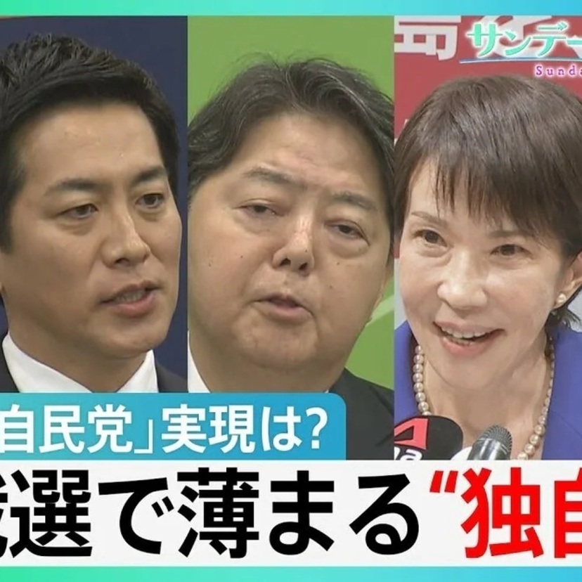 【今週のサンモニ】「木を見て森を見ない」本質を欠いた報道｜藤原かずえ
