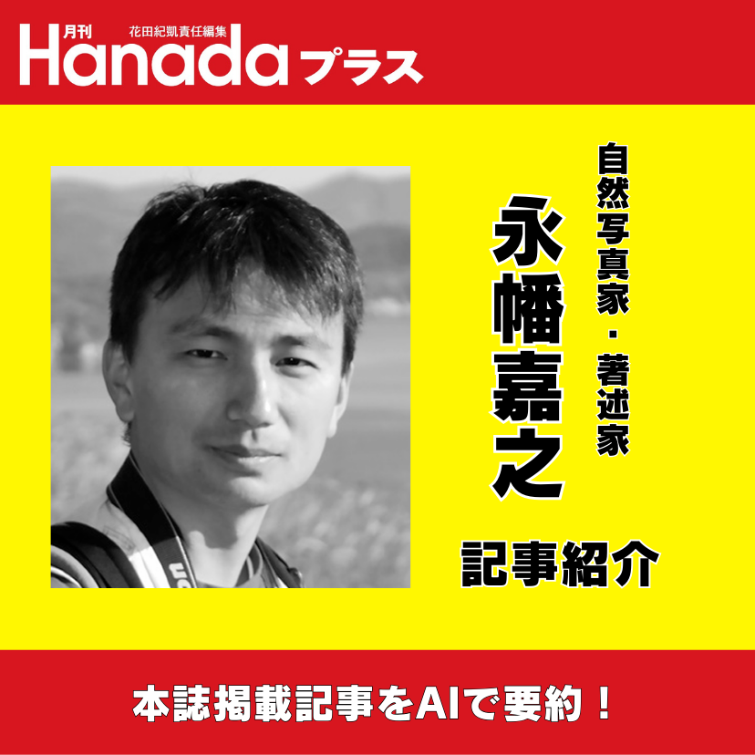 ツキノワグマとどう向き合うか｜永幡嘉之【2026年1月号】