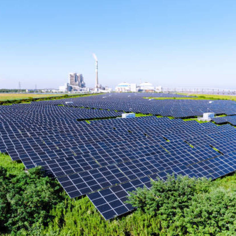 【今週のサンモニ】今年最後に「アッパレ！」発言が登場｜藤原かずえ