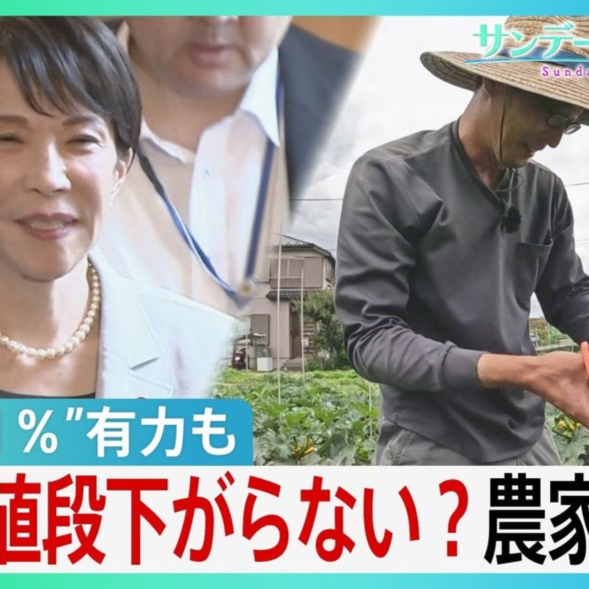 【今週のサンモニ】的を射ている消費税減税批判｜藤原かずえ